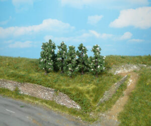 6 alberi di pera in fiore Heki