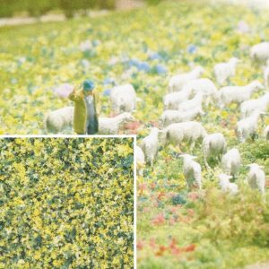 Fiocchi di fiore di dente di leone Busch