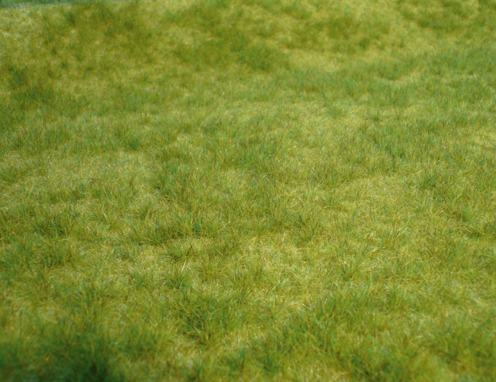 Erba selvatica, realistica erba primaverile, 45x17 cm DS Modellismo Erba selvatica, realistica erba primaverile