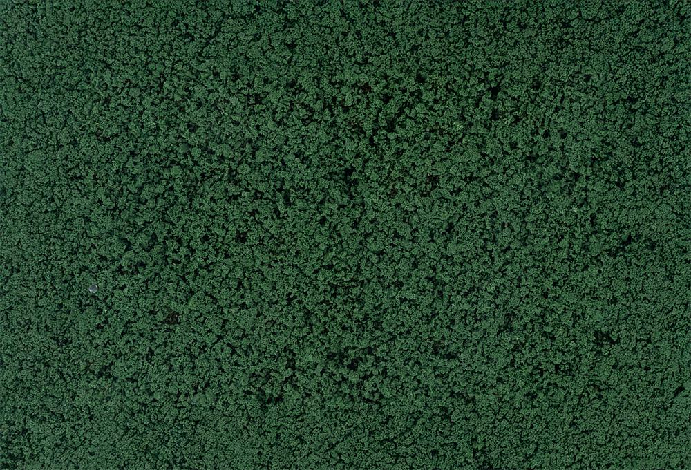 Fogliame - Verde Pino DS Modellismo Fogliame Verde Pino Faller