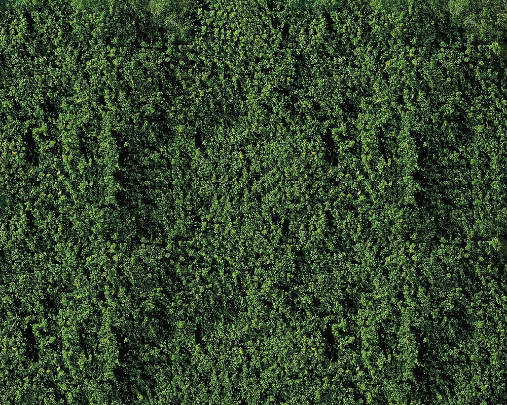 Fogliame - Verde scuro DS Modellismo Fogliame Verde scuro Faller