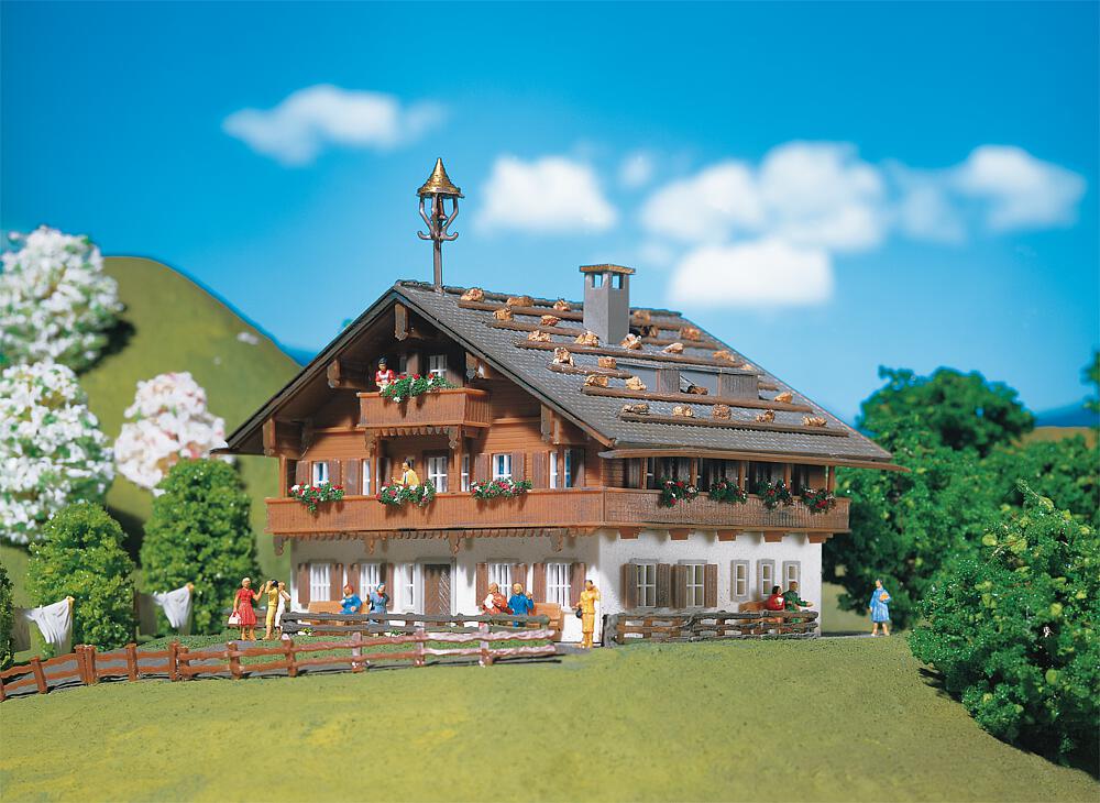 Alpenhof Scala N DS Modellismo Alpenhof scala N Faller