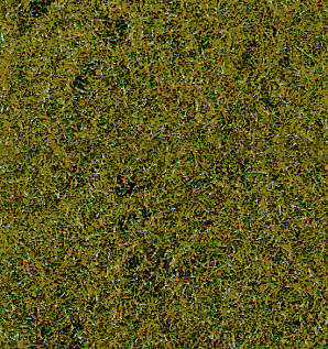 Eerba del prato, verde medio 28x14 cm DS Modellismo Eerba del prato, verde medio 28x14 Heki