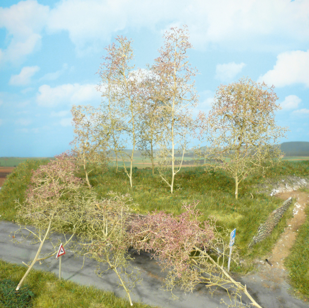 20 alberi, muschio marino naturale DS Modellismo 20 alberi, muschio marino naturale Heki