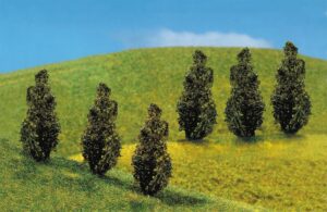 6 Thuja PREMIUM Faller