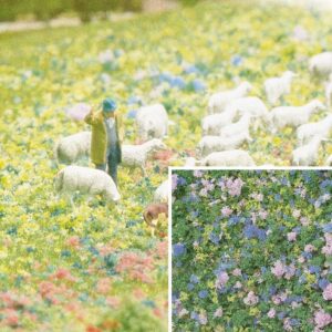 Fiocchi di fiori di krocus Busch