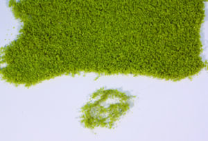 Tappeto erboso realistico verde chiaro