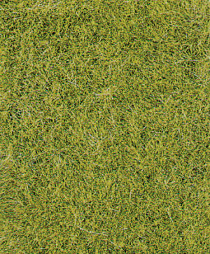 Erba decorativa verde prato, 40x40 Heki