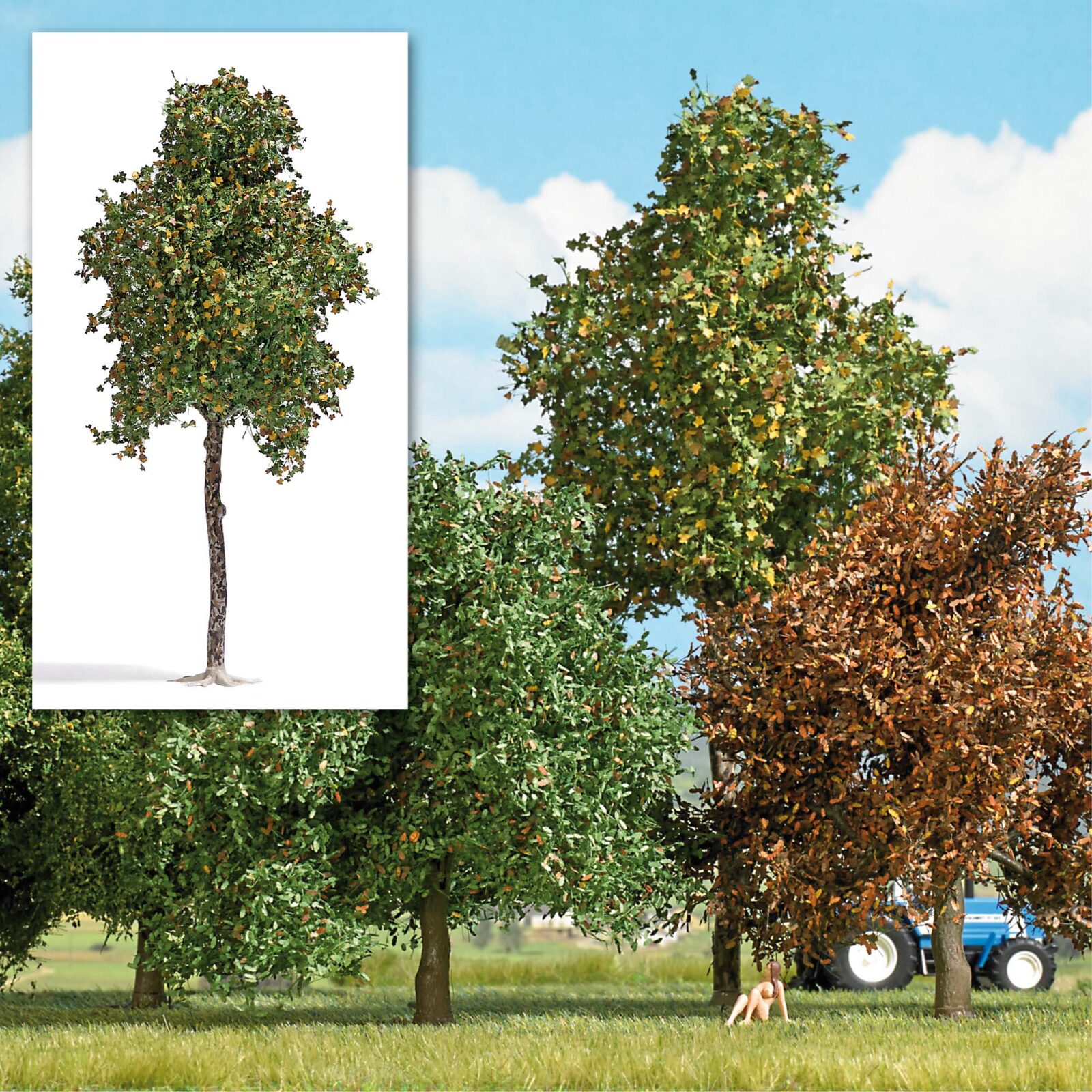 Sicomoro 170 mm fine estate Scala H0 DS Modellismo Sicomoro 170 mm fine estate scala H0 Busch