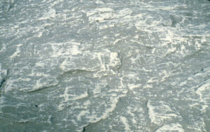 Foglio di roccia dolomite rock 80x35 1 pezzo