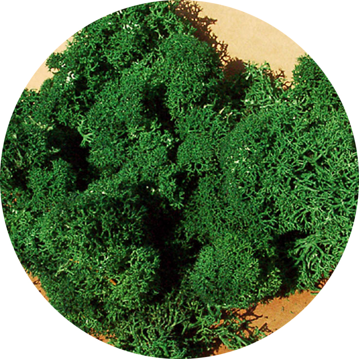Muschio verde scuro 75 g DS Modellismo Muschio verde scuro 75 g Heki