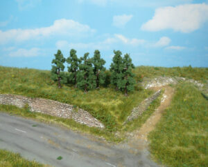 6 alberi di pere Heki