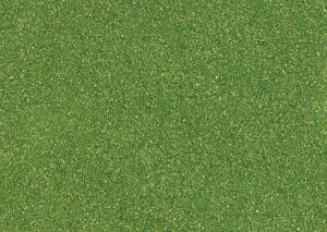 Polvere fine da spargere, verde scuro Busch