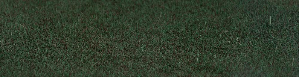 Fibre sparse, verde abete, 2-3 mm, 35 g DS Modellismo Fibre sparse, verde abete, 2-3 35 g Faller