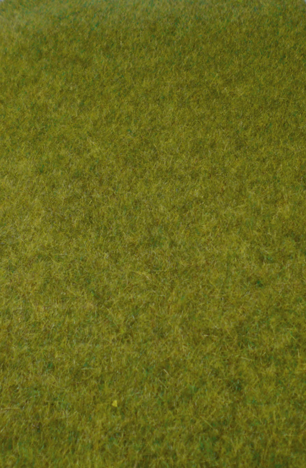 Erba selvatica foresta creativa, 45x17 cm DS Modellismo Erba selvatica foresta creativa, 45x17 Heki