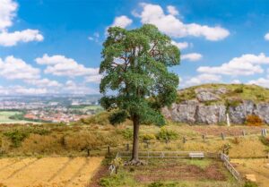 Castagno scala H0 Faller