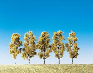 5 Betulle Faller