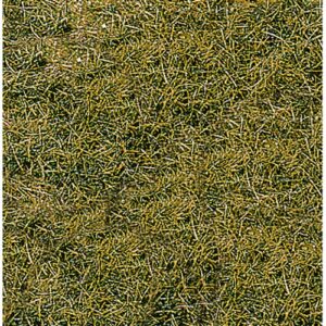 Erba selvatica, il prato di montagna 28x14 cm