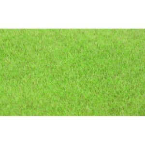Erba in fibra Willdgrass erba leggera della steppa, 75 g, 5-6 mm