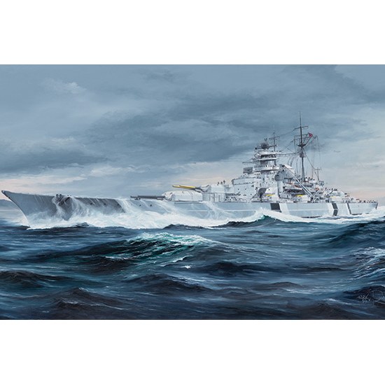 Nave Bismark Kit 1:350 DS Modellismo Nave Bismark Kit 1:350
