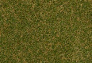 Fibre d'Erba Verde/Marrone 4 mm, 80 scala H0