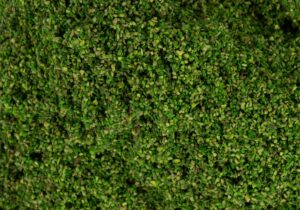 Materiale da Spargere: Foglie Verde scala H0