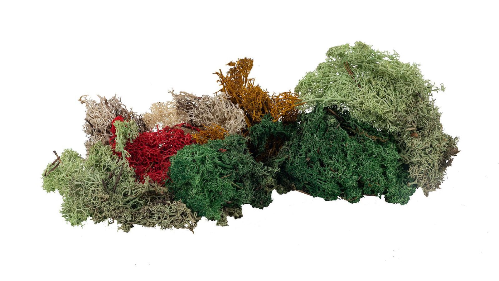 Muschio Islandese - Vari Colori, 80 g DS Modellismo Muschio Islandese Vari Colori, 80 g Faller - vista 2